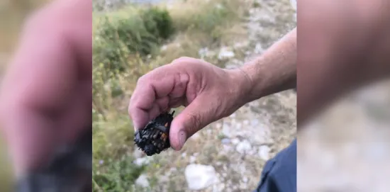 Požar kod Omiša je podmetnut? Policija moli za pomoć, sumnjivci već postoje