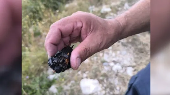 Požar je pod kontrolom, ali počinitelj nije: Policija traži krivca, ovu bi kaznu mogao dobiti