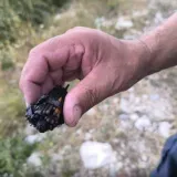 Požar je pod kontrolom, ali počinitelj nije: Policija traži krivca, ovu bi kaznu mogao dobiti