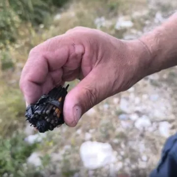 Požar je pod kontrolom, ali počinitelj nije: Policija traži krivca, ovu bi kaznu mogao dobiti