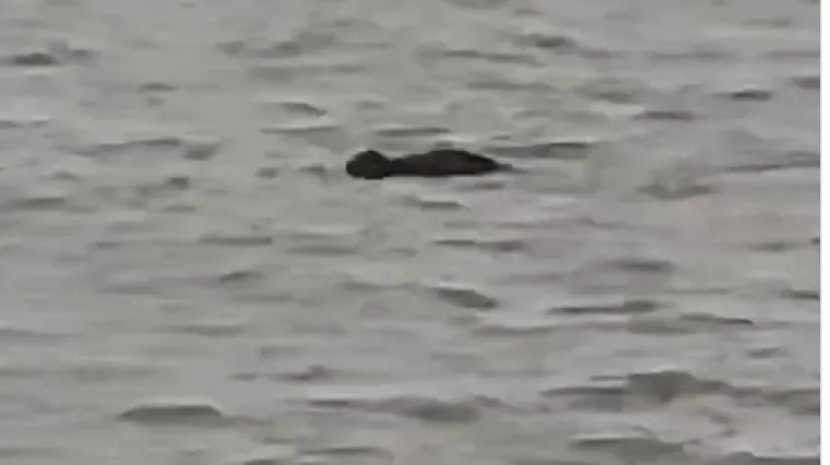 Dječak ušao u rijeku i više se nije pojavio, snimka otkrila što se dogodilo. I nije ovo prvi put...