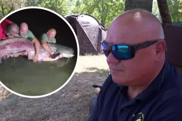 'Brkate' zvijeri mogu pojesti i psa: Denis otkrio kako je ulovio soma od 116 kilograma
