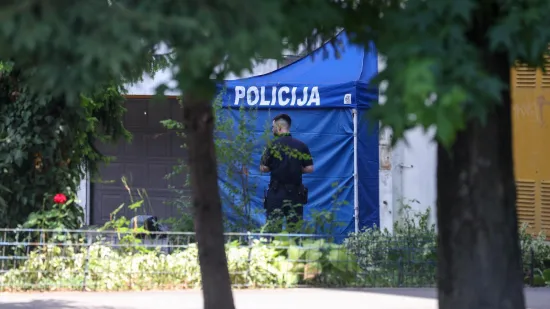 Drama u Prečkom! Žena pala s balkona i poginula: Priveli muškarca