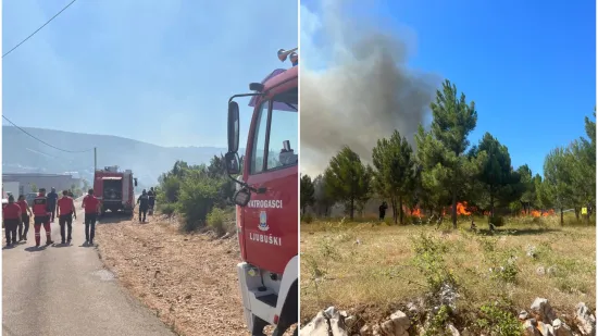 Bukte požari uz granicu s Hrvatskom, brane se kuće: 'Vatra nije pod kontrolom!'