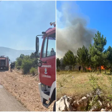 Bukte požari uz granicu s Hrvatskom, brane se kuće: 'Vatra nije pod kontrolom!'