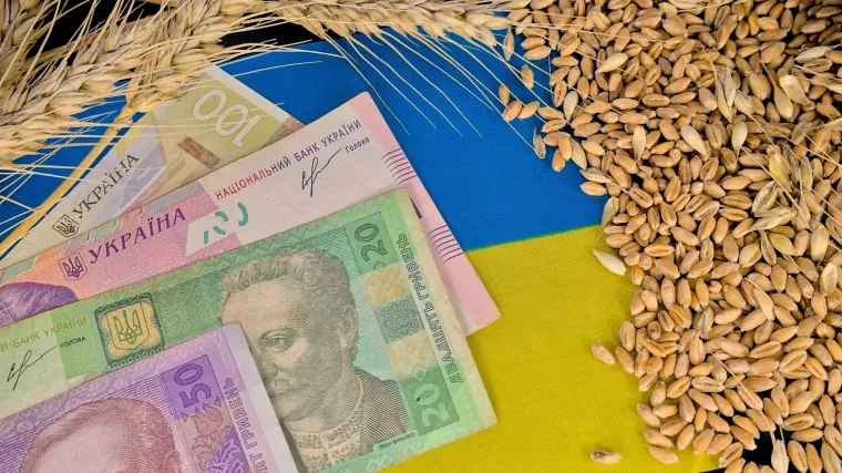 Dogovorile se EU i Ukrajina: Evo što to znači za prodaju svinjetine, šećera, jaja ili meda