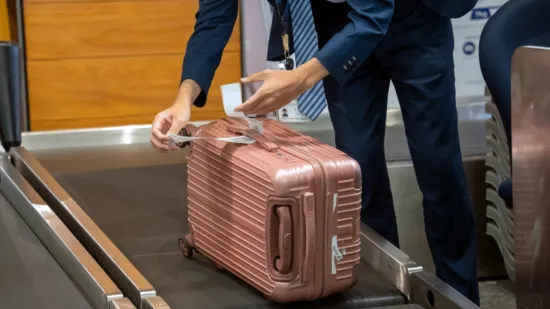 Carinici ostali zatečeni prtljagom jednog putnika: Primijetili da se nešto miče, a kad tamo...