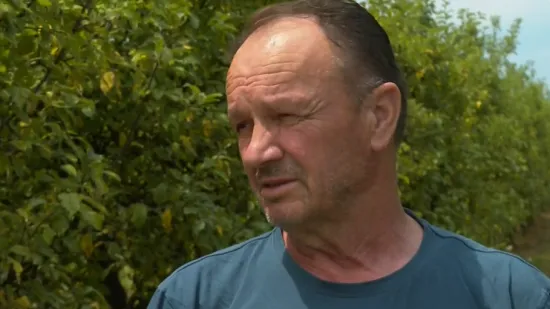 Klimatske promjene i veliki uvoz udarili na voćare: 'Ili nam stoje ili propadaju...'