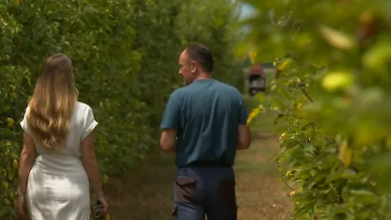 Novi trend u Hrvatskoj: Zaboravite jabuke i mandarine, postajemo zemlja ovih plodova?
