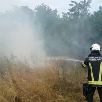 Požari već danima haraju Međimurjem: Vatrogasci su stalno na terenu, vatra se opet približila kućama