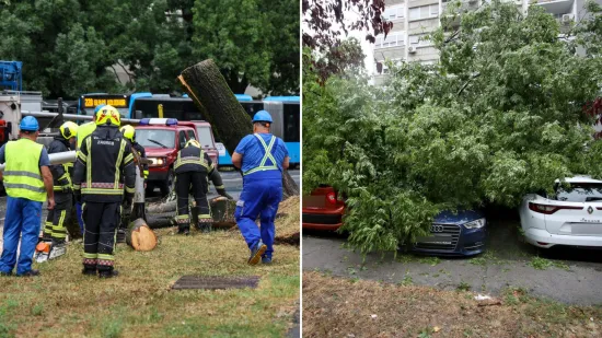 Stabla poklopila automobile, vatrogasci intervenirali i u školi: Pogledajte posljedice udara oluje