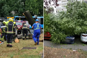 Stabla poklopila automobile, vatrogasci intervenirali i u školi: Pogledajte posljedice udara oluje