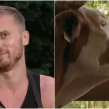 Mario iz 'Farme' otkrio da je i on sada taktičar: 'Bio sam outsider, a u jednom trenutku sam prelomio da i ja krećem u igru'