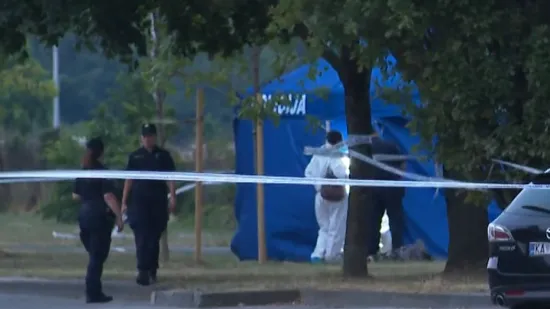 Sedmo ubojstvo u Zagrebu ove godine: Ubojica u Dubravi imao halucinacije?