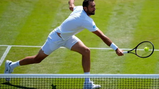 Marin Čilić nije uspio kreirati novu senzaciju na Wimbledonu