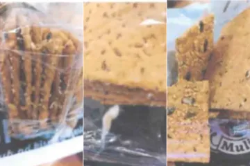 Povlače dvije vrste hrskavog kruha, u njima našli ličinke insekata! 'Ispričavamo se'