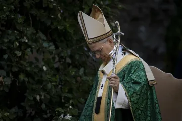 Papa Lav prekinuo odmor i služio posebnu misu: Katolicima poslao snažnu poruku