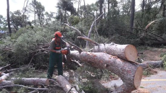 Posljedice žestokog nevremena na Marjanu: Nad glavama vreba preko 1000 stabala