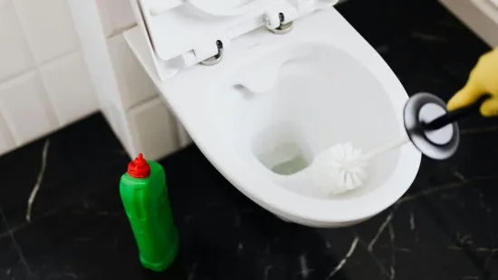 Znate li koliko često se mora mijenjati četka za WC? Stručnjaci objašnjavaju kada je vrijeme za novu