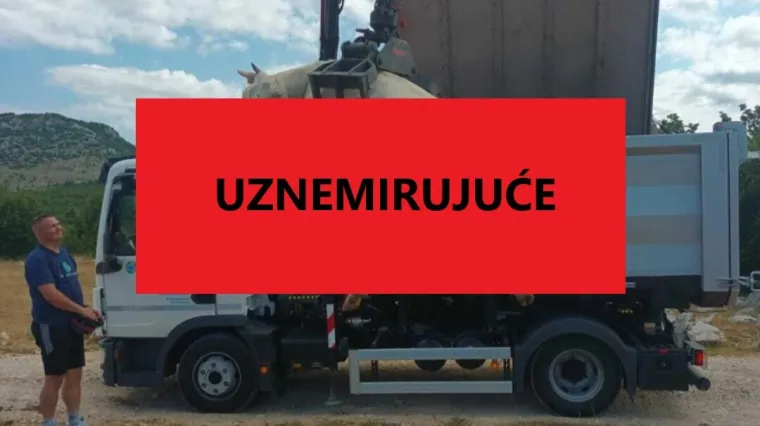 Ministarstvo se oglasilo o tajanstvenom pomoru stoke u Zagori: 'Nije isključeno trovanje'