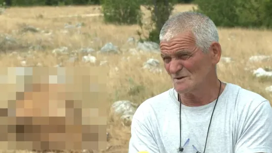 Masovni pomor stoke u Zagori: 'Svaki dan ugiba po jedna. Tragičnije ne može biti'
