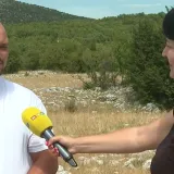 Misteriozni pomor krava kod Vrlike: 'Trzne nogom i izdahne u tri minute'