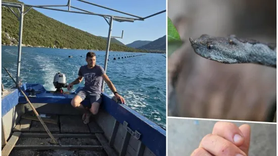 Matko (29) je preživio tri ugriza poskoka! 'Mi u helikopteru, kažu da nema seruma...'