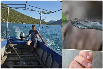 Matko (29) je preživio tri ugriza poskoka! 'Mi u helikopteru, kažu da nema seruma...'