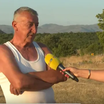 Na obroncima Svilaje krave nastavljaju ugibati: Bolest isključena, sumnja se na trovanje