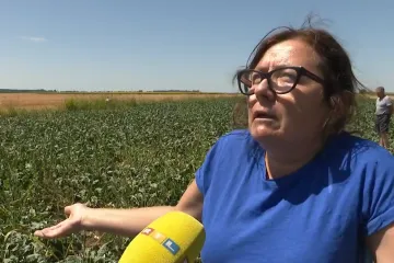 Neočekivane životinje šokirale Moniku i Zvonka: 'Šteta je ogromna, ogromna!'