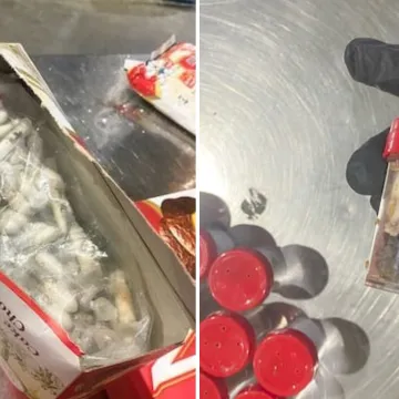 U kutijama za čokoladne torte našli 1500 tarantula: Carinici su se sablaznili