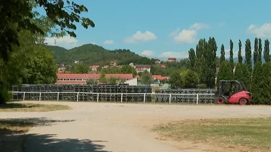 Thompsonov koncert, Alka i Oluja! U Sinj stiže 150 tisuća ljudi: 'Ne treba se bojati, spremni smo'