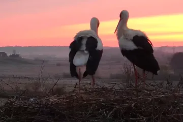 Najezda roda donijela veliki novac, pogledajte kako se živi u Jakuševcu
