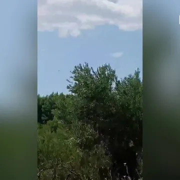 Ponovno bukti u Dalmaciji! Na terenu vatrogasci i kanader