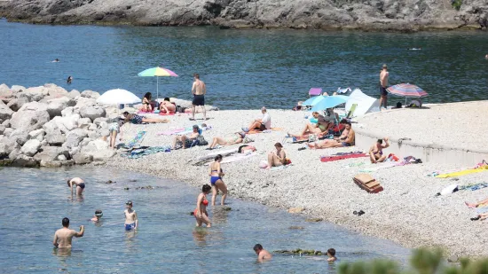Snimljena otrovna riba u Jadranu, ubod je nesnosan: 'Bol kao da ti netko trga kost':