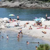 Snimljena otrovna riba u Jadranu, ubod je nesnosan: 'Bol kao da ti netko trga kost'