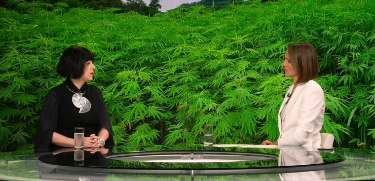 Koliko je Hrvatska daleko od legalizacije marihuane? Holy: 'Da se stavi na referendum…'