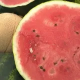 Isprobali smo lubenice iz Baranje i savršene su! Uz ove trikove izabrat ćete onu najbolju