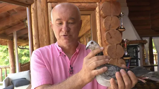 Golubovi iz Baranje viceprvaci svijeta: Goran ostvario ono o čemu je sanjao kao dijete
