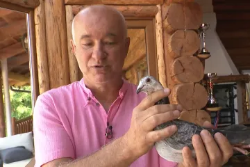 Golubovi iz Baranje viceprvaci svijeta: Goran ostvario ono o čemu je sanjao kao dijete