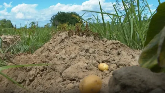 Skoro deset milijuna eura štete: 'Da se Mura i Drava razliju nema pomoći za ovo'