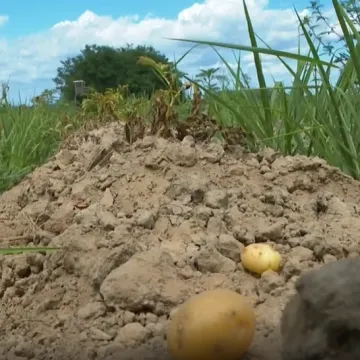 Skoro deset milijuna eura štete: 'Da se Mura i Drava razliju nema pomoći za ovo'