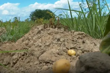 Skoro deset milijuna eura štete: 'Da se Mura i Drava razliju nema pomoći za ovo'