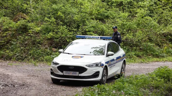 Strašna nesreća kod Velike Ludine: Stablo palo na radnika (39) i ubilo ga