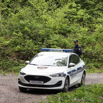 Strašna nesreća kod Velike Ludine: Stablo palo na radnika (39) i ubilo ga