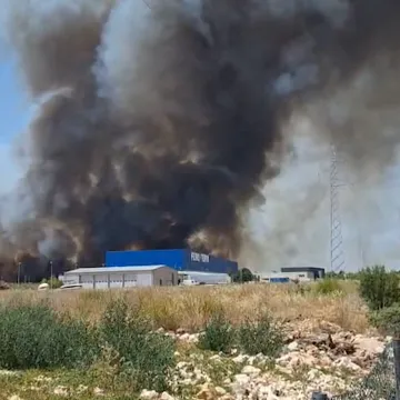 Buktinja u Šibeniku: Vatru gase i kanaderi, požar se brzo širi