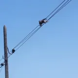 Ovo nema nigdje! Uzrok požara na Mljetu je... Ma bolje pogledajte sami
