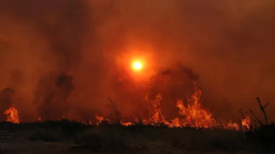 Miris zapaljenog drva proširio se do središta glavnog grada: Gore kuće, košnice i stabla