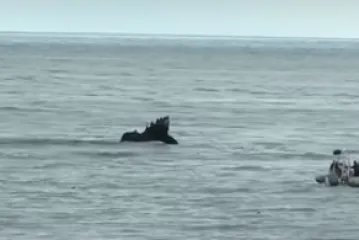 Srušio se mali zrakoplov u ocean, troje ljudi poginulo: 'Prošao je nisko i onda se čuo udarac'