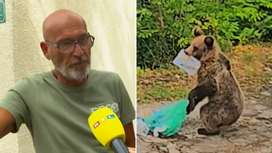 Medvjed iz Senja šokirao Roberta: 'Skočio je prema bazenu pa se sakrio iza drveća'